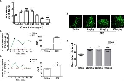 A standardized extract of Coleus forskohlii root protects rats from ovariectomy-induced loss of bone mass and strength, and impaired bone material by osteogenic and anti-resorptive mechanisms